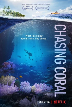 Chasing Coral — ranked #4