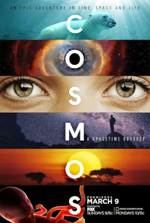 Cosmos: A Spacetime Odyssey — ranked #9