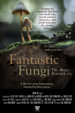 Fantastic Fungi — ranked #19