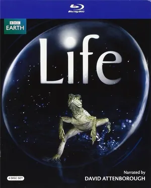 Life — ranked #10