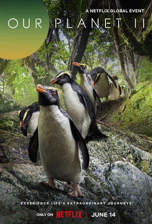 Our Planet — ranked #13