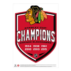 Chicago Blackhawks — ranked #14