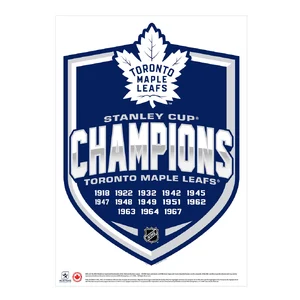 Toronto Maple Leafs — ranked #6