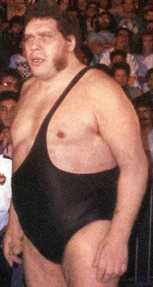 The Heenan Family — ranked #16