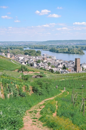 Rüdesheim am Rhein — ranked #7