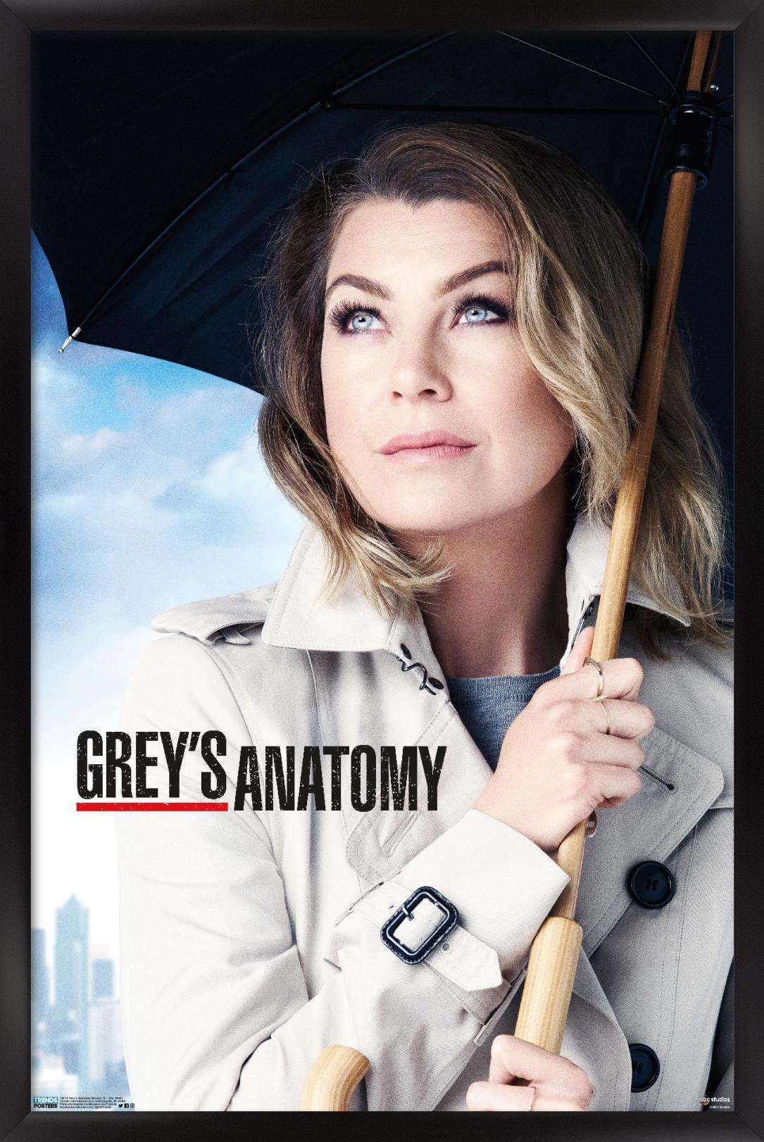 Grey's Anatomy — ranked #17
