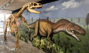 Allosaurus — ranked #21
