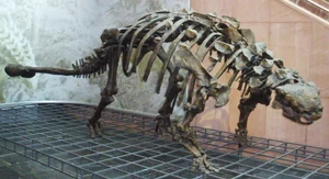Ankylosaurus — ranked #19