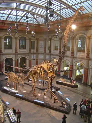 Brachiosaurus — ranked #10