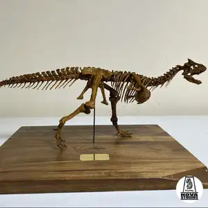 Carnotaurus — ranked #15