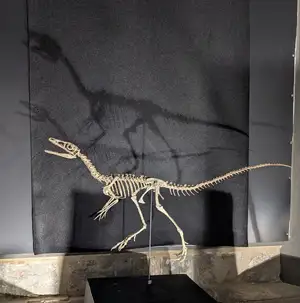Compsognathus — ranked #16