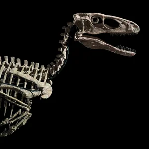 Deinonychus — ranked #9