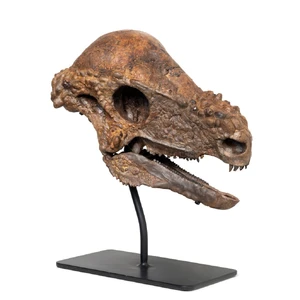 Pachycephalosaurus — ranked #18