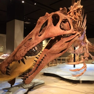 Spinosaurus — ranked #6