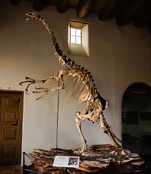 Therizinosaurus — ranked #7