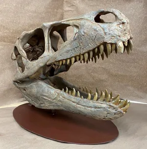 Utahraptor — ranked #20