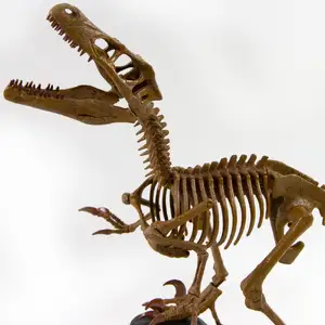 Velociraptor — ranked #12