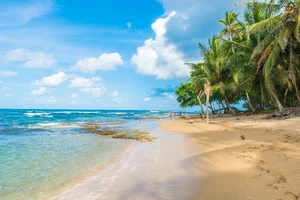 Playa Cocles — ranked #6