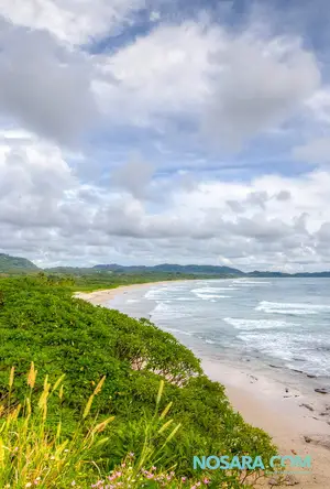 Playa Guiones — ranked #20