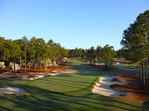 Pinehurst No. 2 — ranked #18