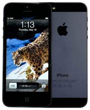 iPhone 5 — ranked #18
