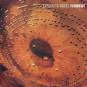 Ferment — ranked #20