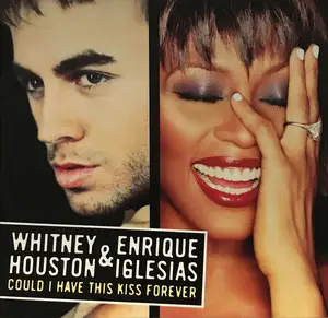 Could I Have This Kiss Forever — ranked #22