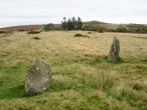 Mitchell's Fold — ranked #8