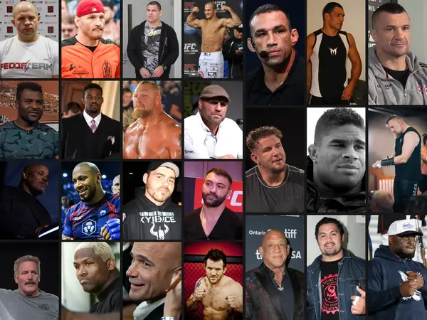 The 25 Greatest MMA Heavyweights of All Time