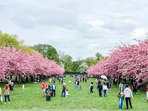 Brooklyn Botanic Garden — ranked #7