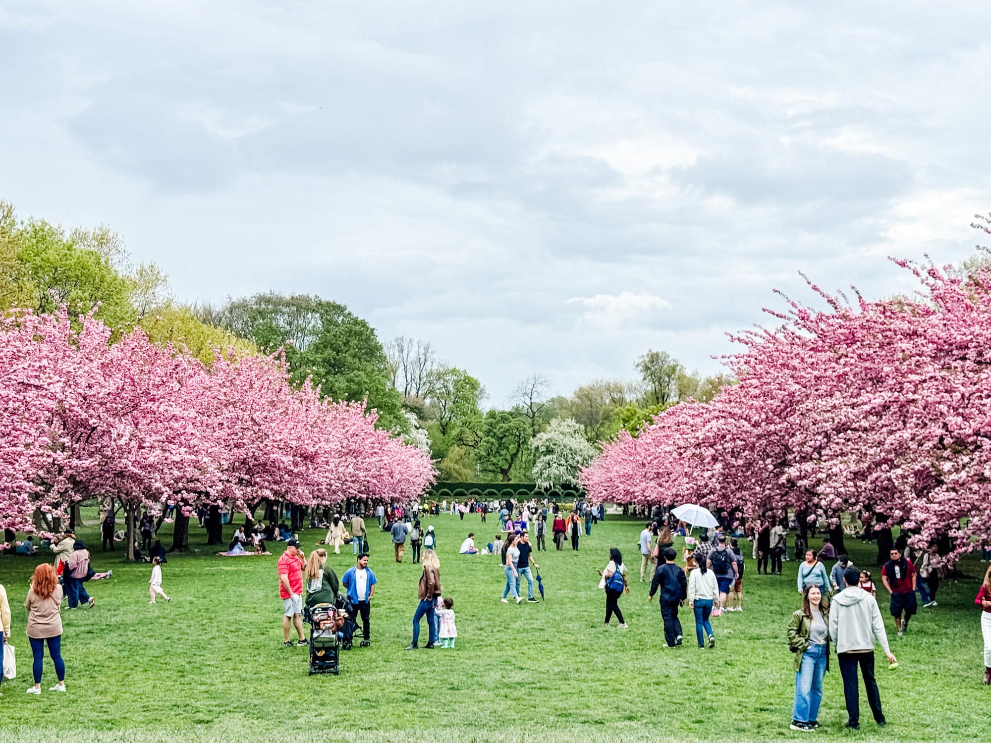 Brooklyn Botanic Garden — ranked #7