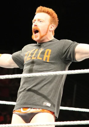 Sheamus, Survivor Series 2015 — ranked #13