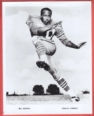 Mel Renfro — ranked #30