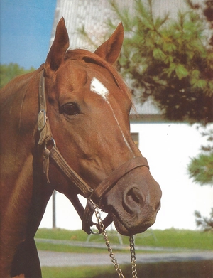 Secretariat
