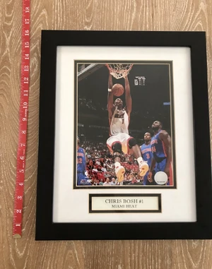 Chris Bosh — ranked #11