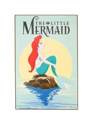 Ariel — ranked #2