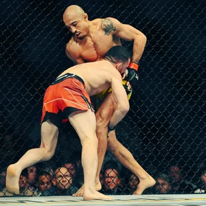 Jose Aldo — ranked #2