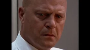 The Shield — ranked #14