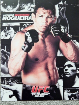 Antonio Rodrigo Nogueira — ranked #15