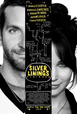 Silver Linings Playbook — ranked #3