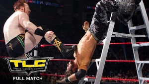 vs John Morrison, Ladder Match (TLC 2010) — ranked #12