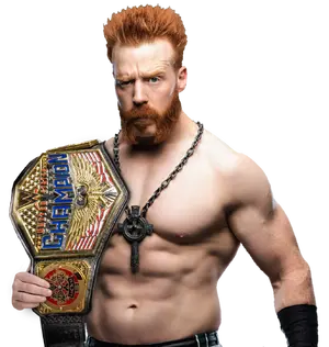 vs Roman Reigns, United States Title Feud — ranked #9