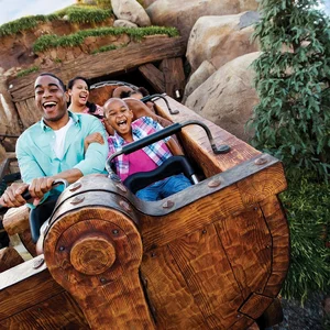 Seven Dwarfs Mine Train — ranked #17