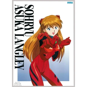 Neon Genesis Evangelion — ranked #19