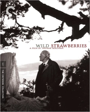 Wild Strawberries — ranked #18