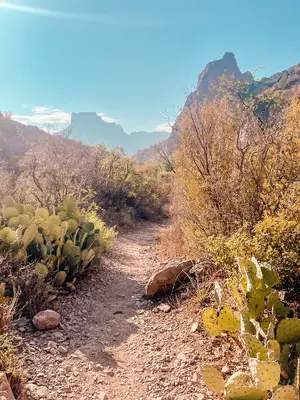 Big Bend — ranked #11