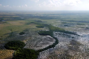 Everglades — ranked #21