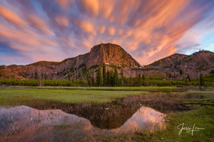 Yellowstone — ranked #1