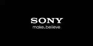 Sony — ranked #14