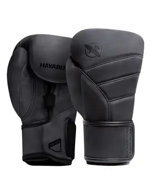 Hayabusa — ranked #2
